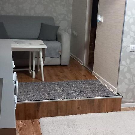 Cozy Studio In The Heart Of Cluj ภายนอก รูปภาพ