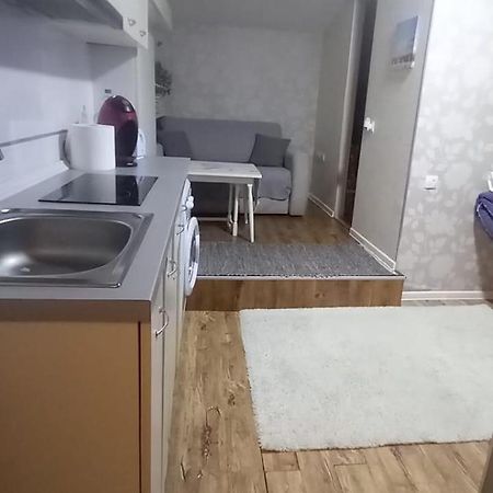 Cozy Studio In The Heart Of Cluj ภายนอก รูปภาพ